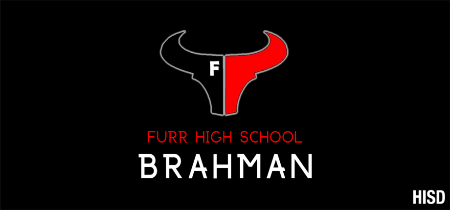 Furr Brahman 